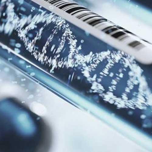 Genomic-Medicine-TESTING-biovision-dx Genomic Medicine TESTING-biovision-diagnostics